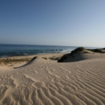 shipwrecks-oceanfront-lot-east-cape