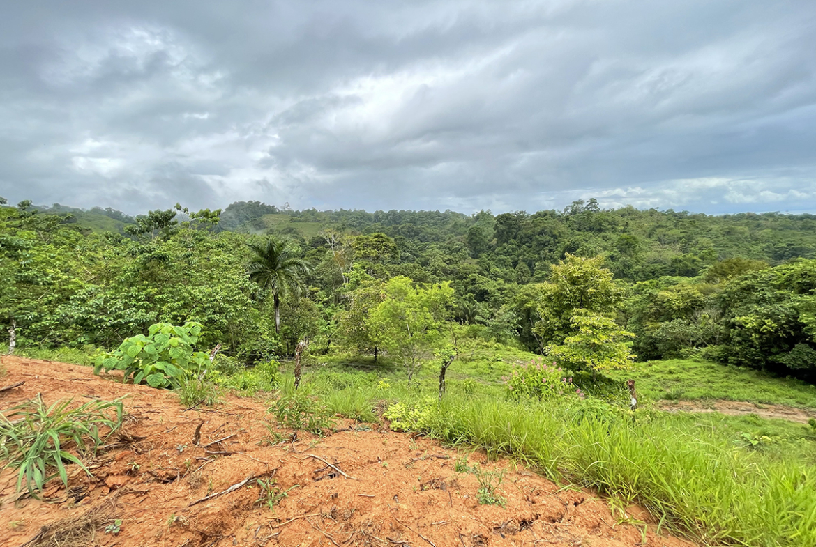 ocean-view-lot-1-above-pavones