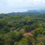 vista-dulce-pavones-lot-2