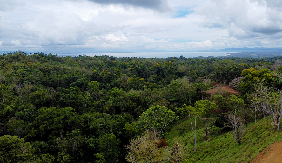 vista-dulce-pavones-lot-2-ocean-view