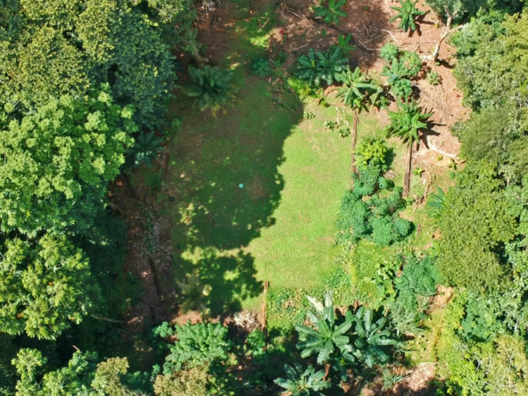 pavones-2-hectares-with-creek