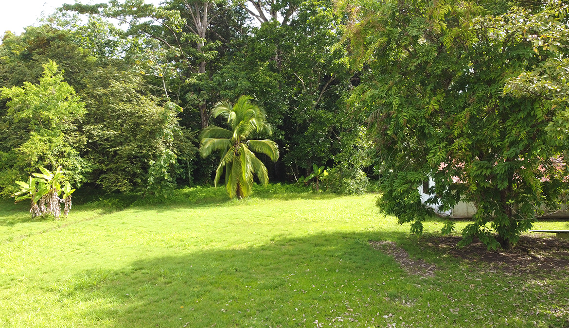 casas-árbol-grande-costa-rica-for-sale