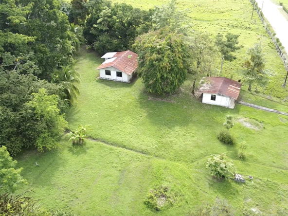 casas-árbol-grande-costa-rica-for-sale