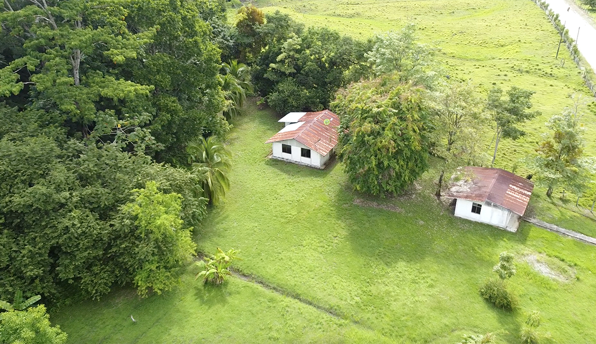 casas-árbol-grande-costa-rica-for-sale