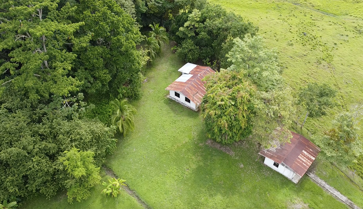 casas-árbol-grande-costa-rica-for-sale