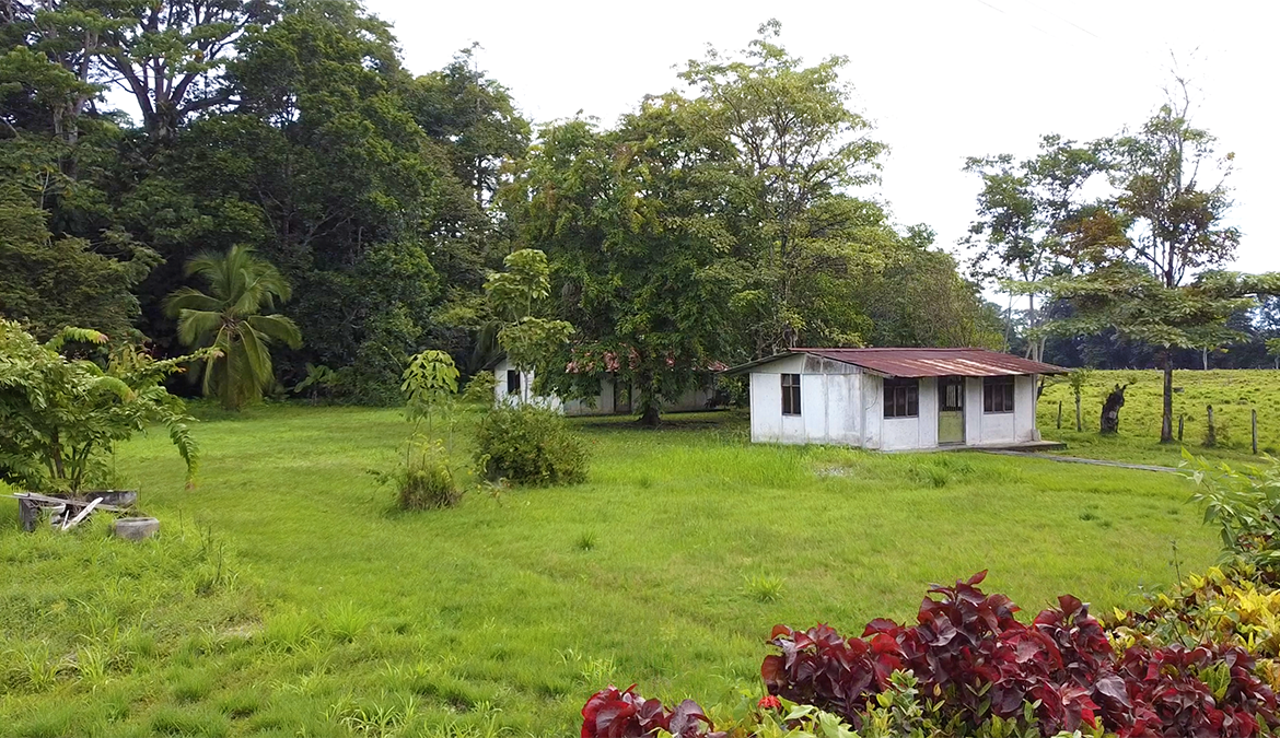 casas-árbol-grande-costa-rica-for-sale