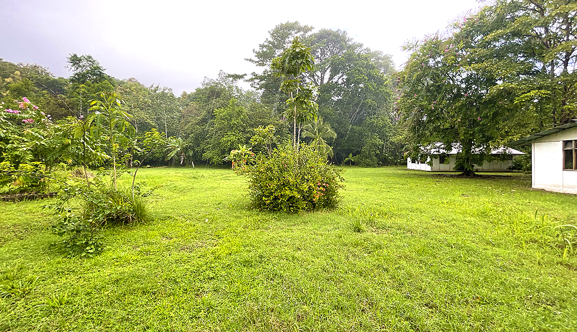 casas-árbol-grande-costa-rica-for-sale