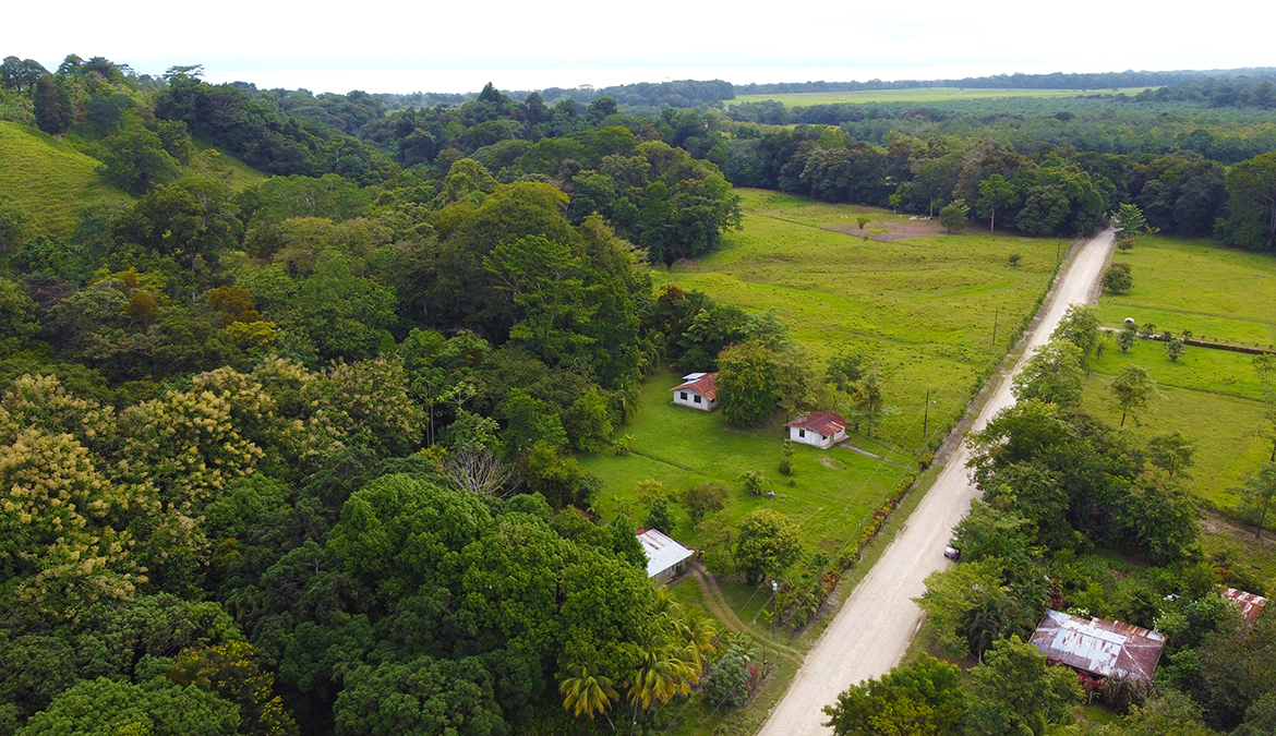 casas-árbol-grande-costa-rica-for-sale