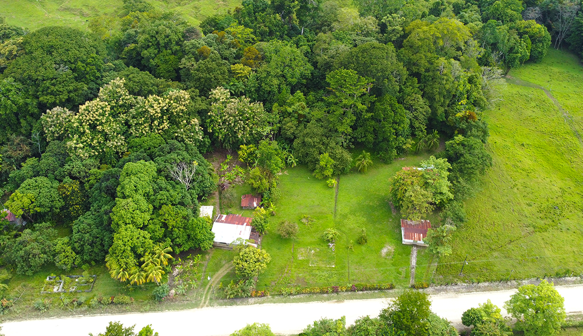 casas-árbol-grande-costa-rica-for-sale