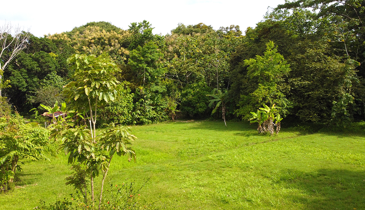 casas-árbol-grande-costa-rica-for-sale