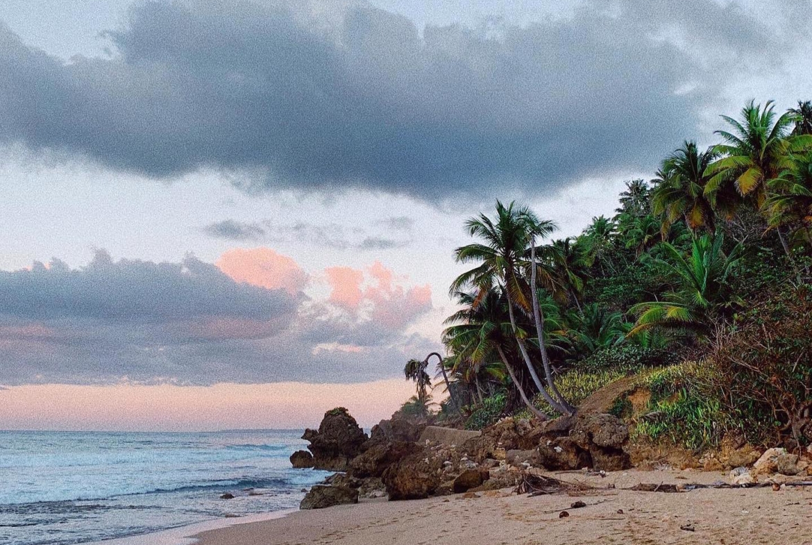 rincon-surf-club-puerto-rico