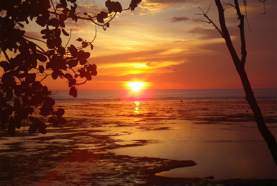 sunset-trees-sumatra-surf-resort-for-sale