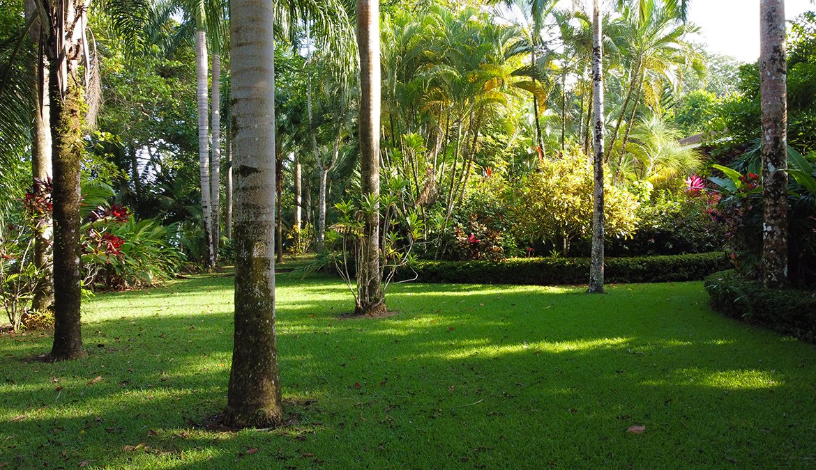 salea-surf-house-pavones-costa-rica