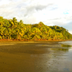 punta-banco-pavones-beach-lot-for-sale