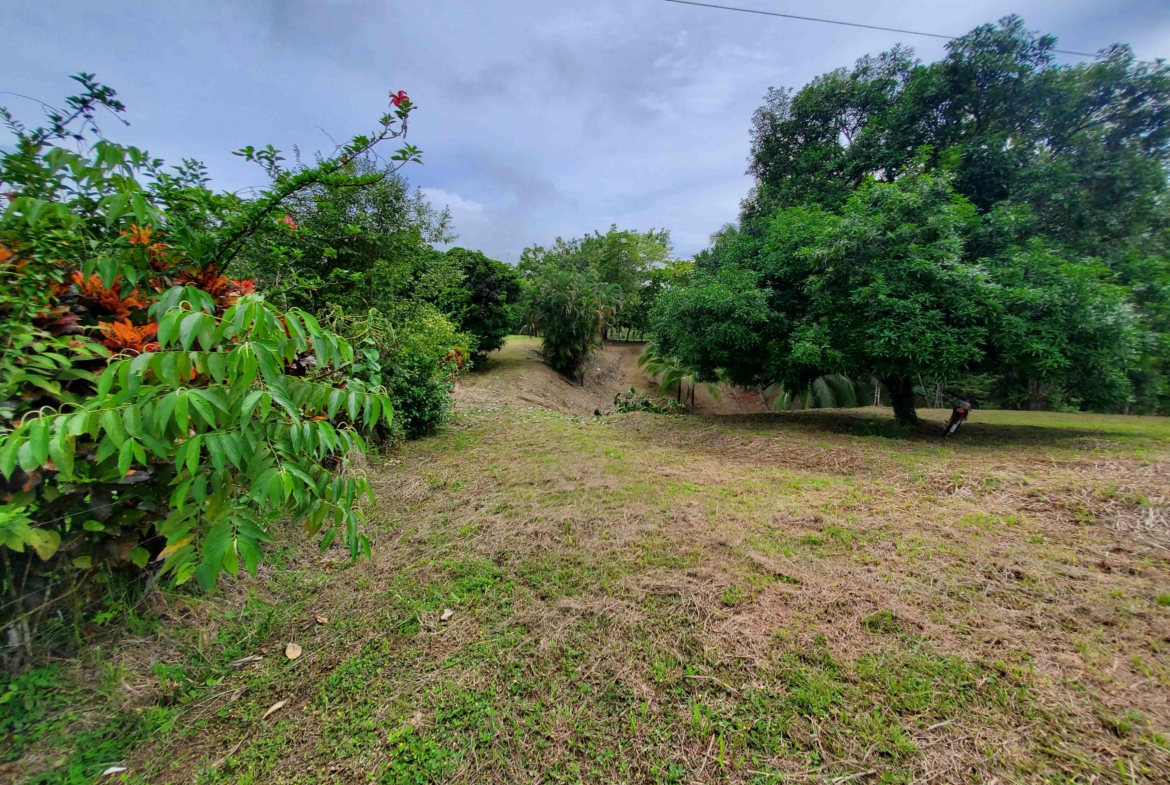 agua-buena-de-pavones-lot-for-sale