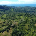 finca-caballo-blanco-pavones