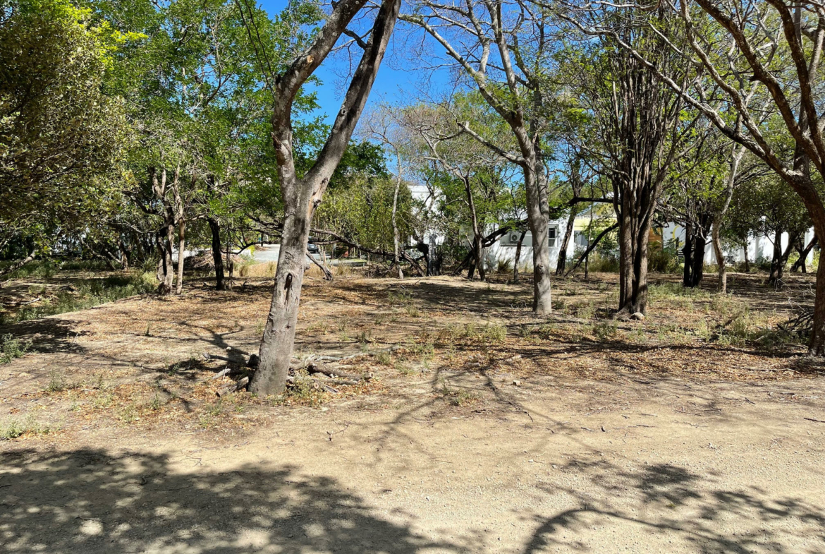 hacienda-iguana-colorados-beach-lot-for-sale