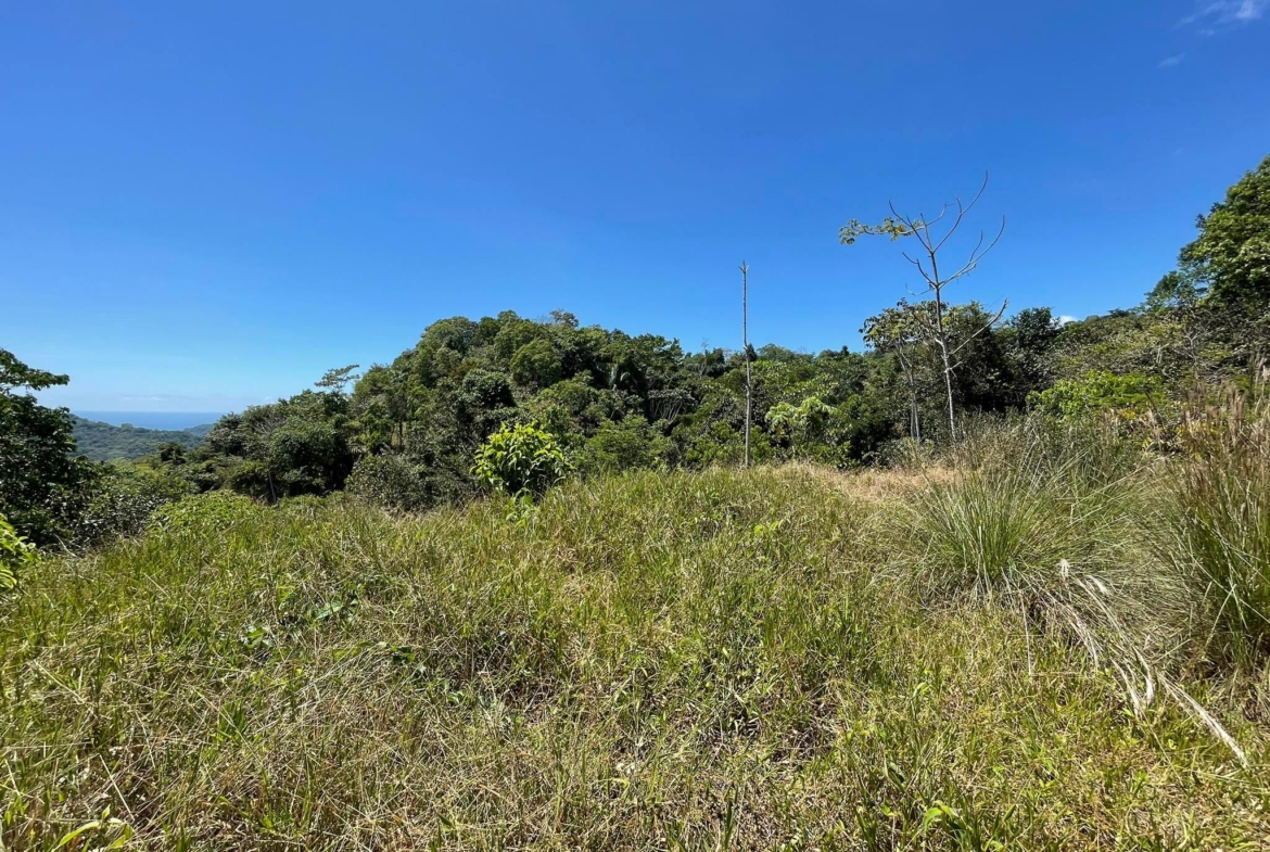 oceanview-lot-near-surf