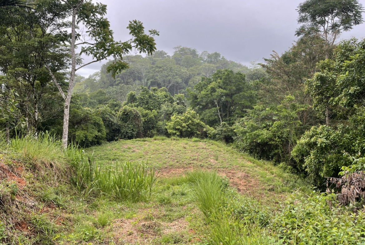 oceanview-lot-near-surf