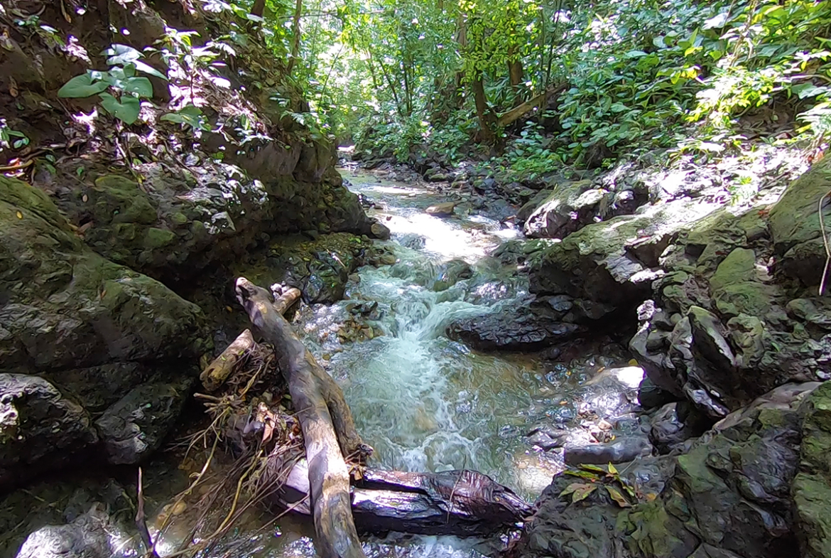 pavones-yerba-river-hike