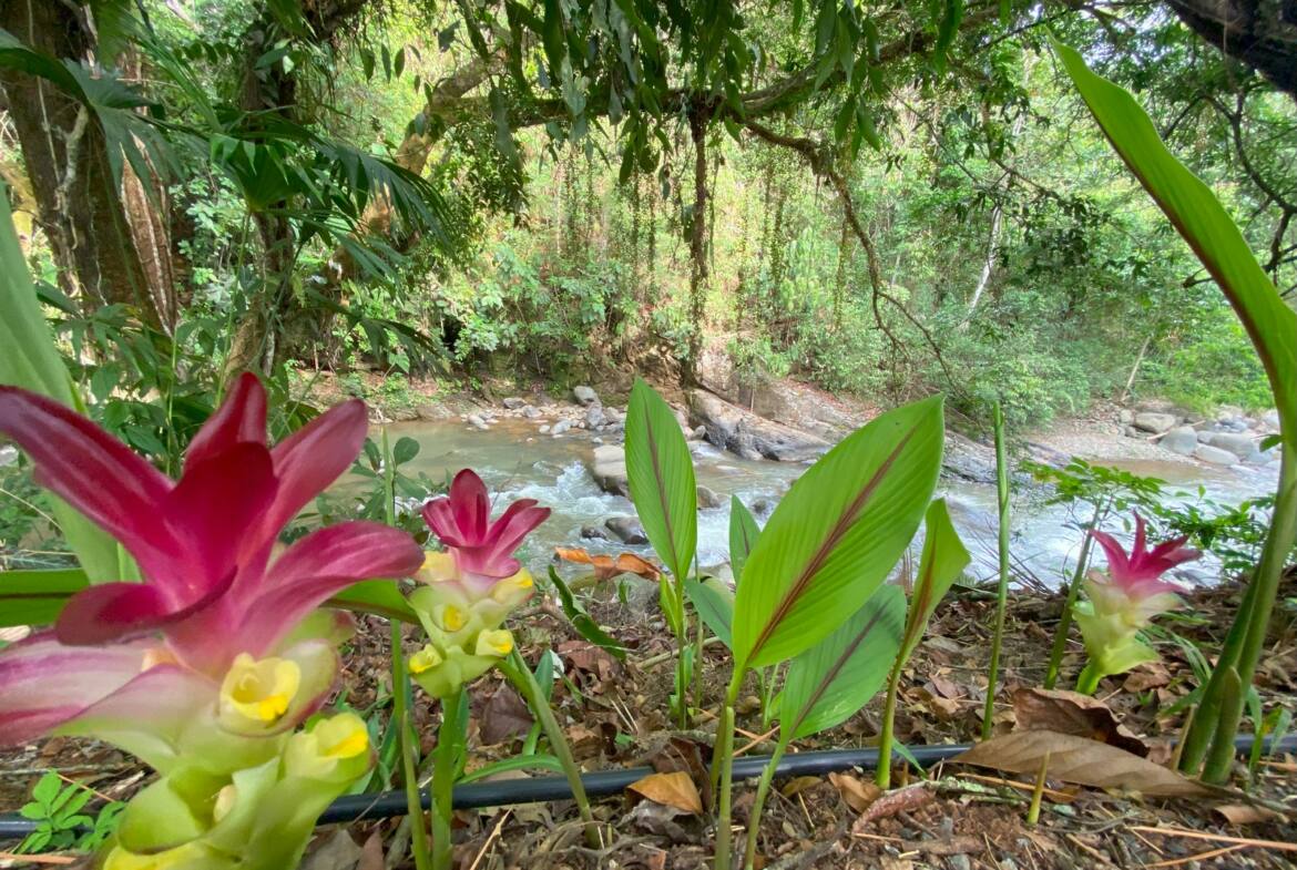 stunning-16-room-hotel-costa-rica