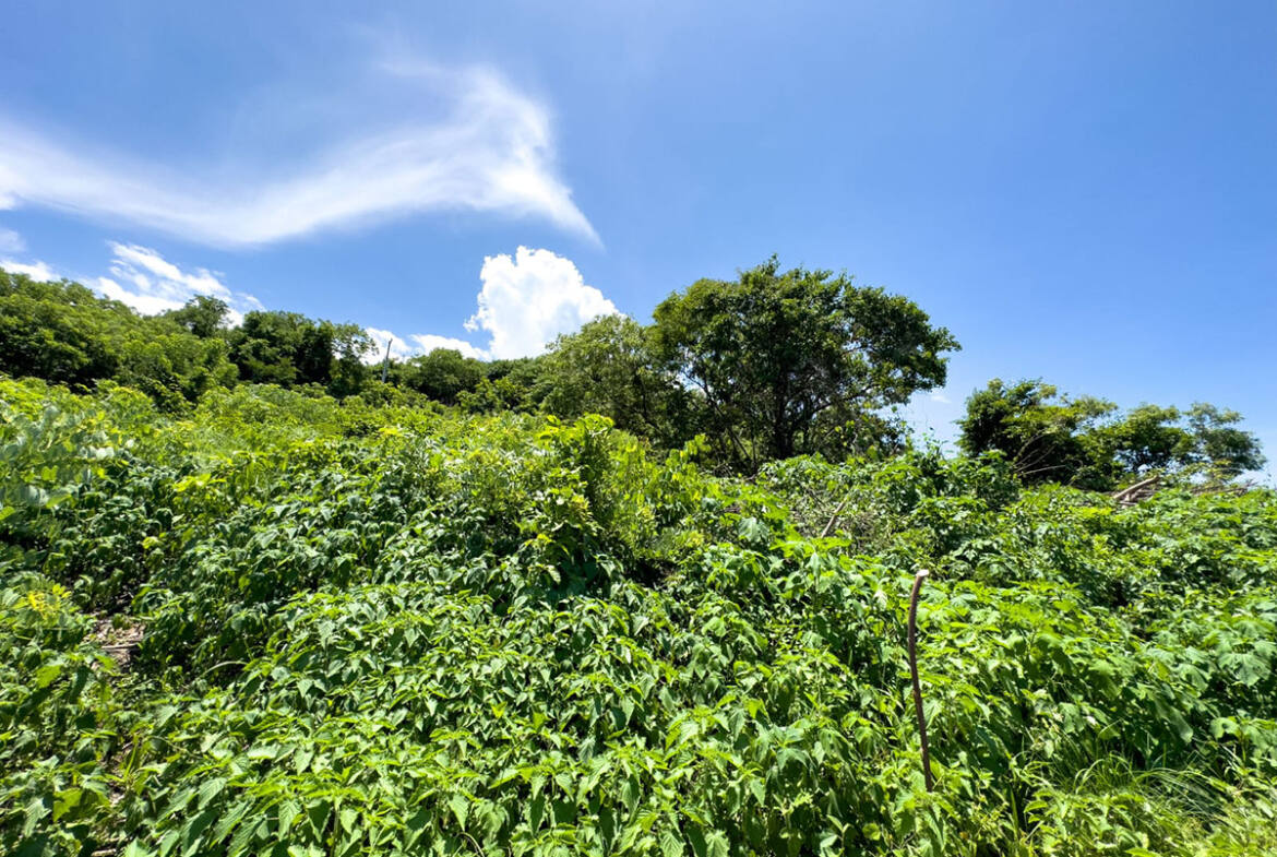 majahual-beach-lot-el-salvador