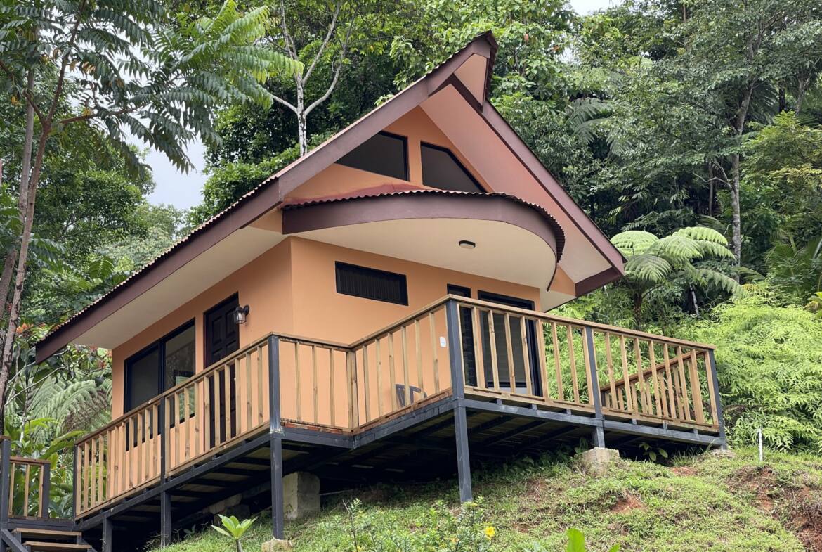 sunset-oceanview-home-&-guest-cabin-surrounded-by-rainforest