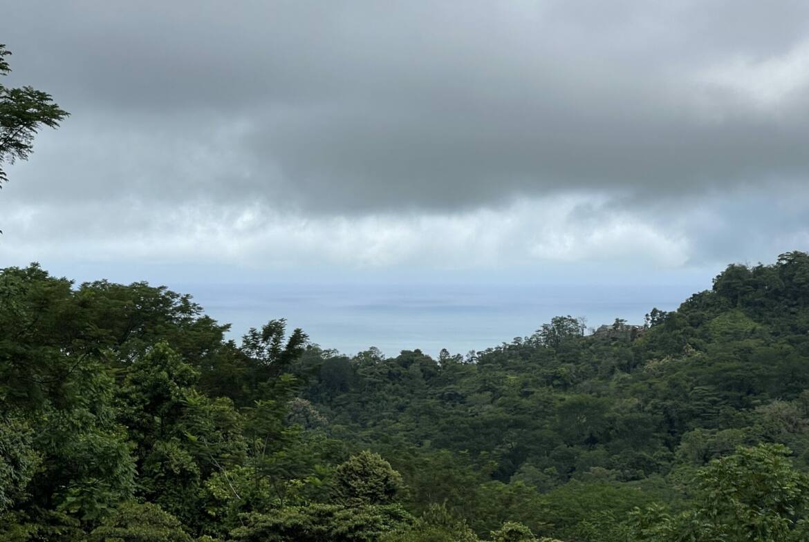 sunset-oceanview-home-&-guest-cabin-surrounded-by-rainforest