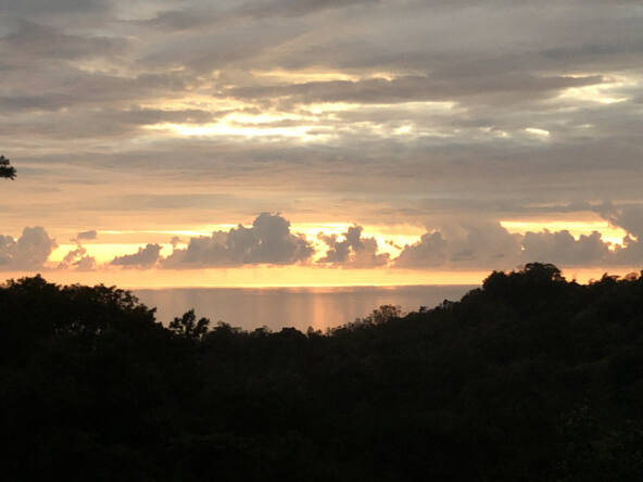 sunset-oceanview-home-&-guest-cabin-surrounded-by-rainforest