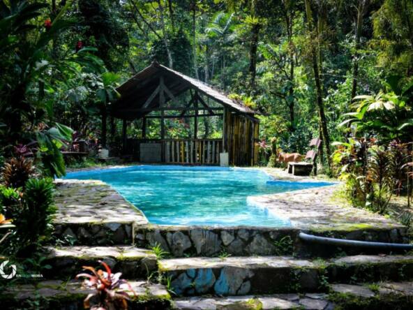 8-room-ecolodge-on-10-hectares-with-jungle-and-volcano-views