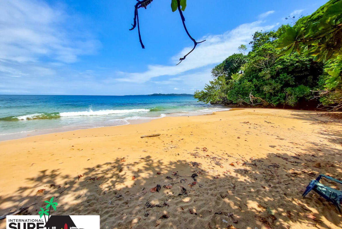 beachfront-lodge-for-sale-in-bocas-dell-toro