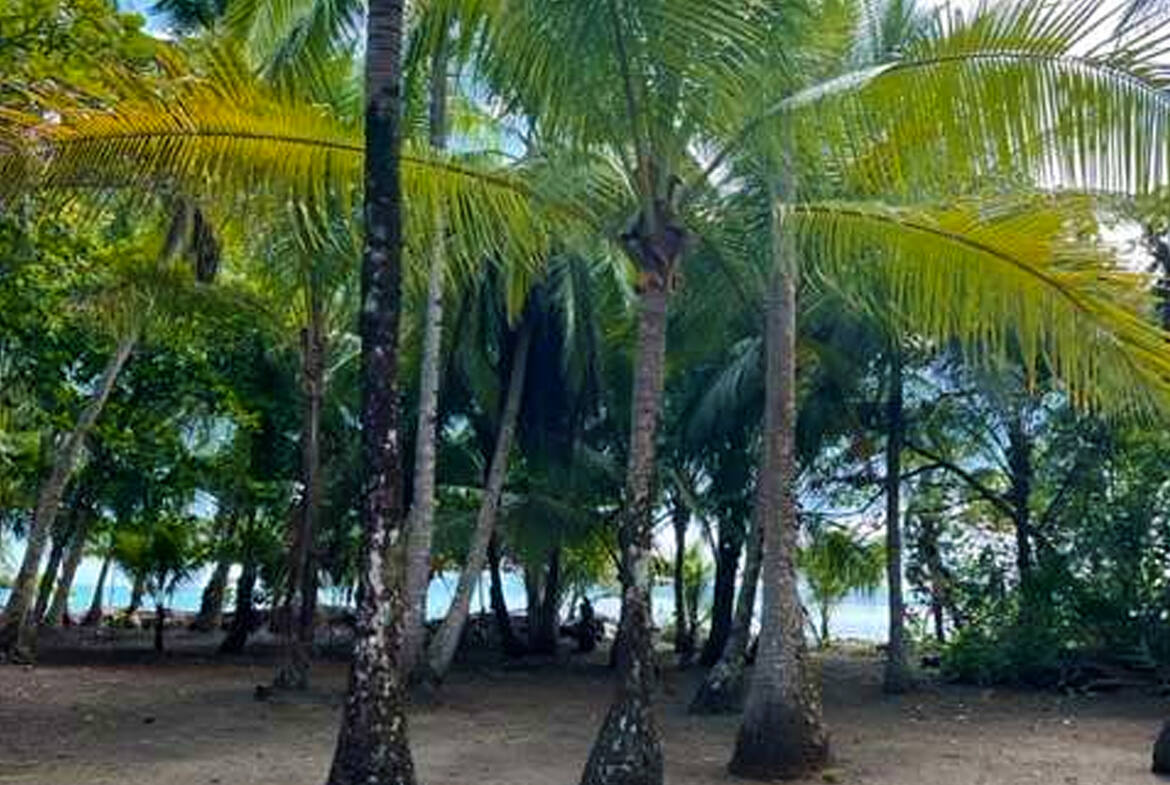 costa-rica-beachfront-fixer-on-playa-zancudo