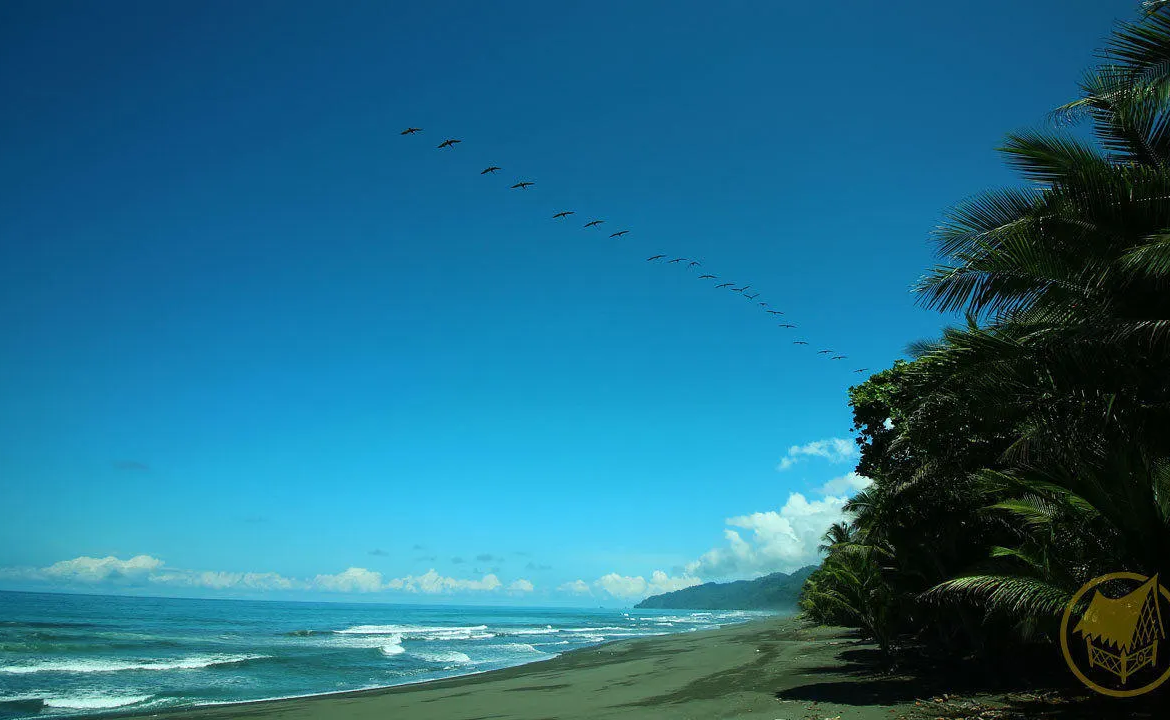 oceanfront-jungle-eco-lodge-costa-rica