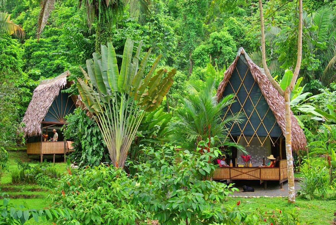 oceanfront-jungle-eco-lodge-costa-rica