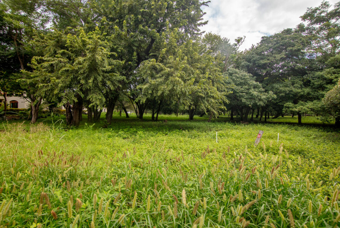 beautiful-b3-lot-hacienda-iguana