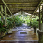 beachfront-eco-lodge-and-retreat-in-cabo-matapalo