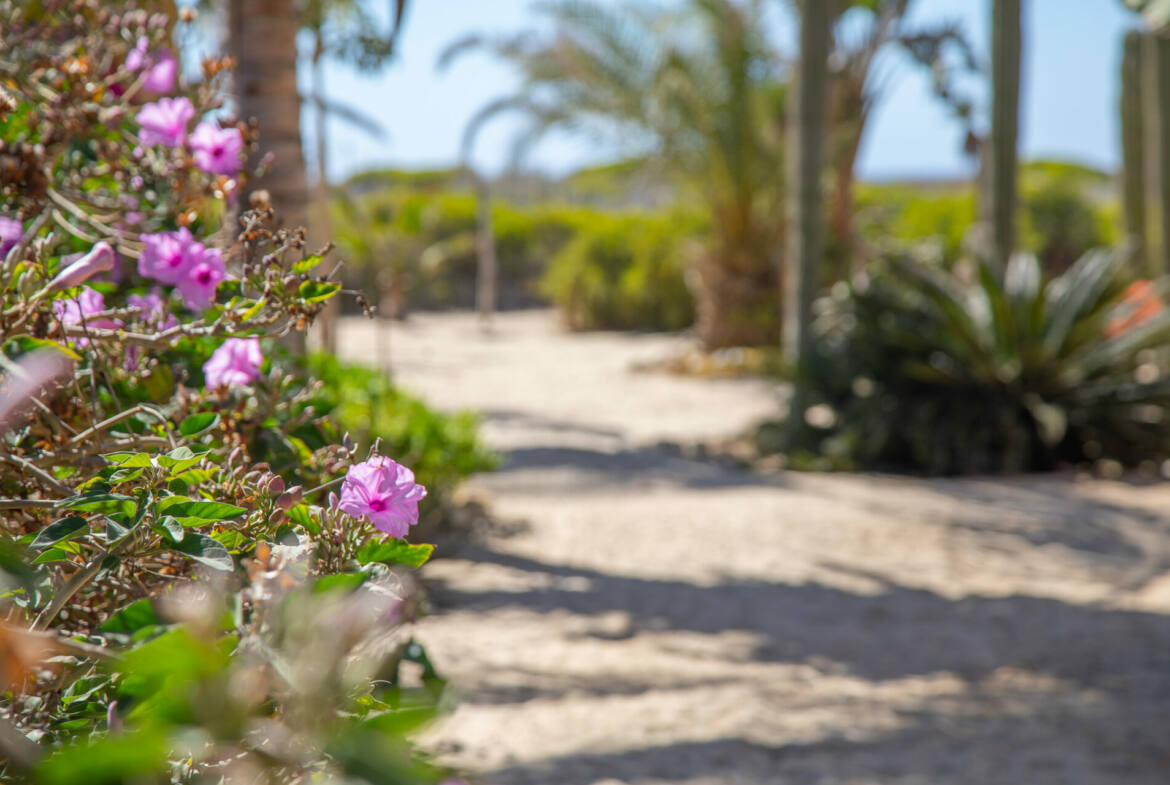 villa-los-vaqueros-on-cerritos-beach