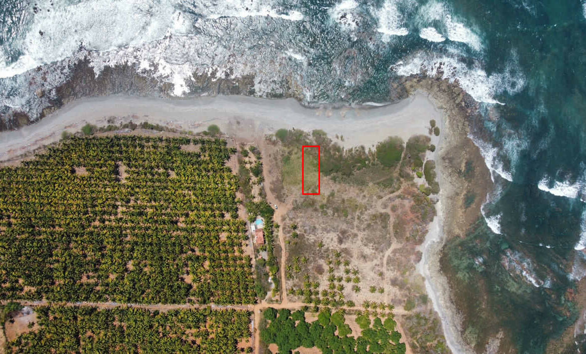 oceanfront-lot-in-south-saladita