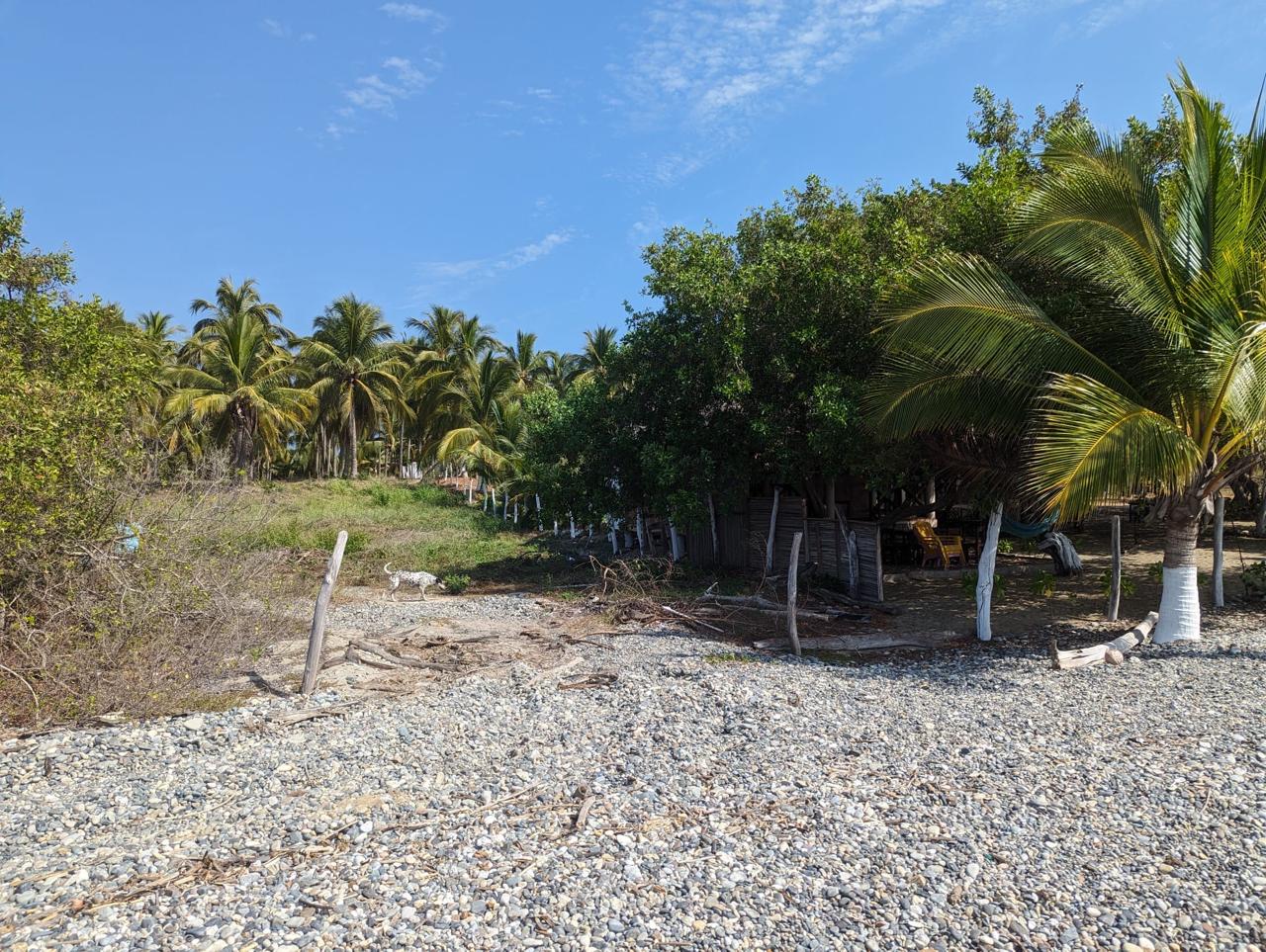 2_Beach_Front_Saldita_Lots_for_Sale_Beach_View_Fence_Line
