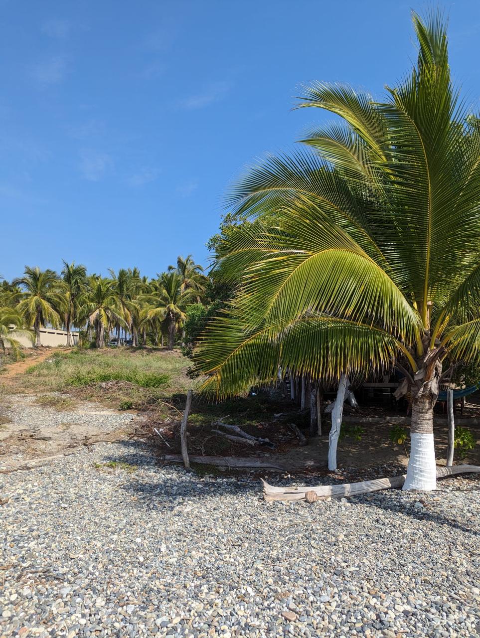 2_Beach_Front_Saldita_Lots_for_Sale_Beach_View_Lot