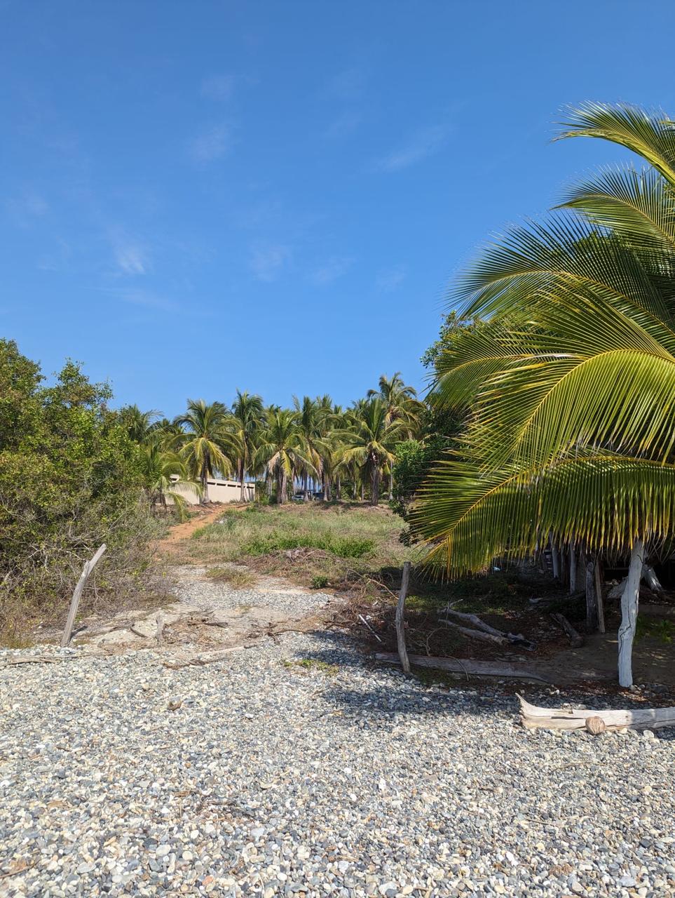 2_Beach_Front_Saldita_Lots_for_Sale_Beach_View_Lot_Path