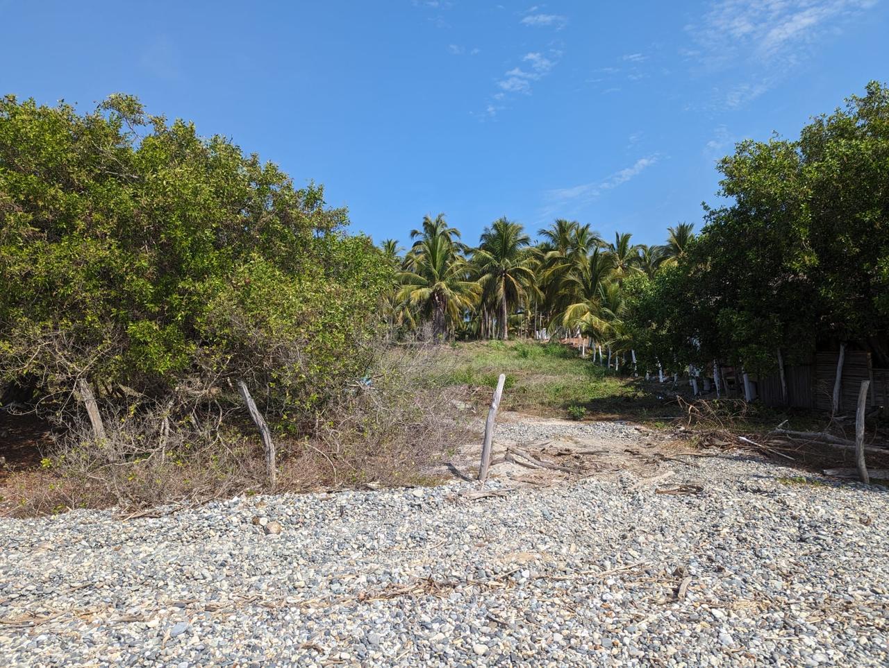 2_Beach_Front_Saldita_Lots_for_Sale_Beach_View_Lot_Path_Fence
