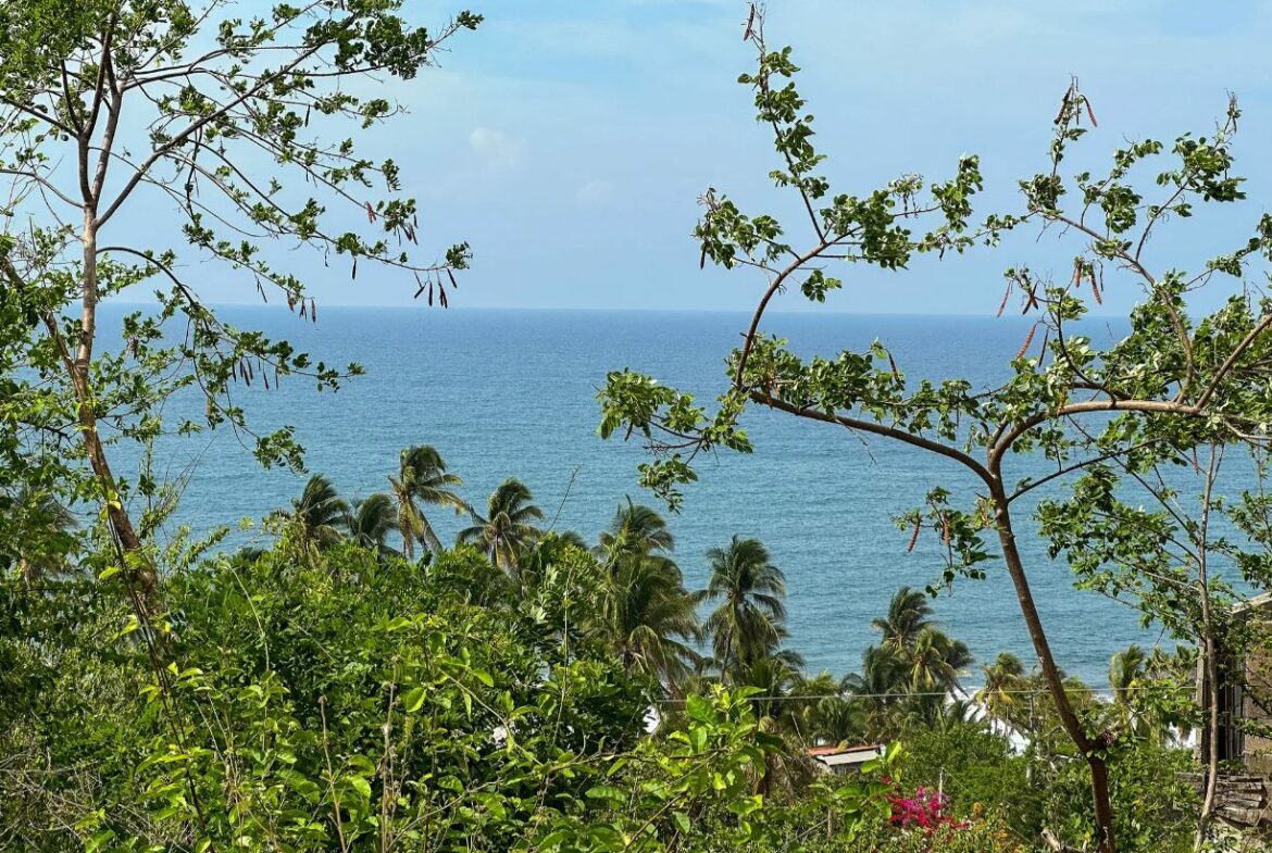 Beachfront-Land-in-Majahual-8