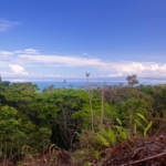 15-acres-pavones-with-expansive-ocean-views