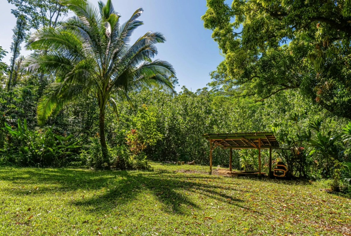 spectacular-hanalei-kauai-property