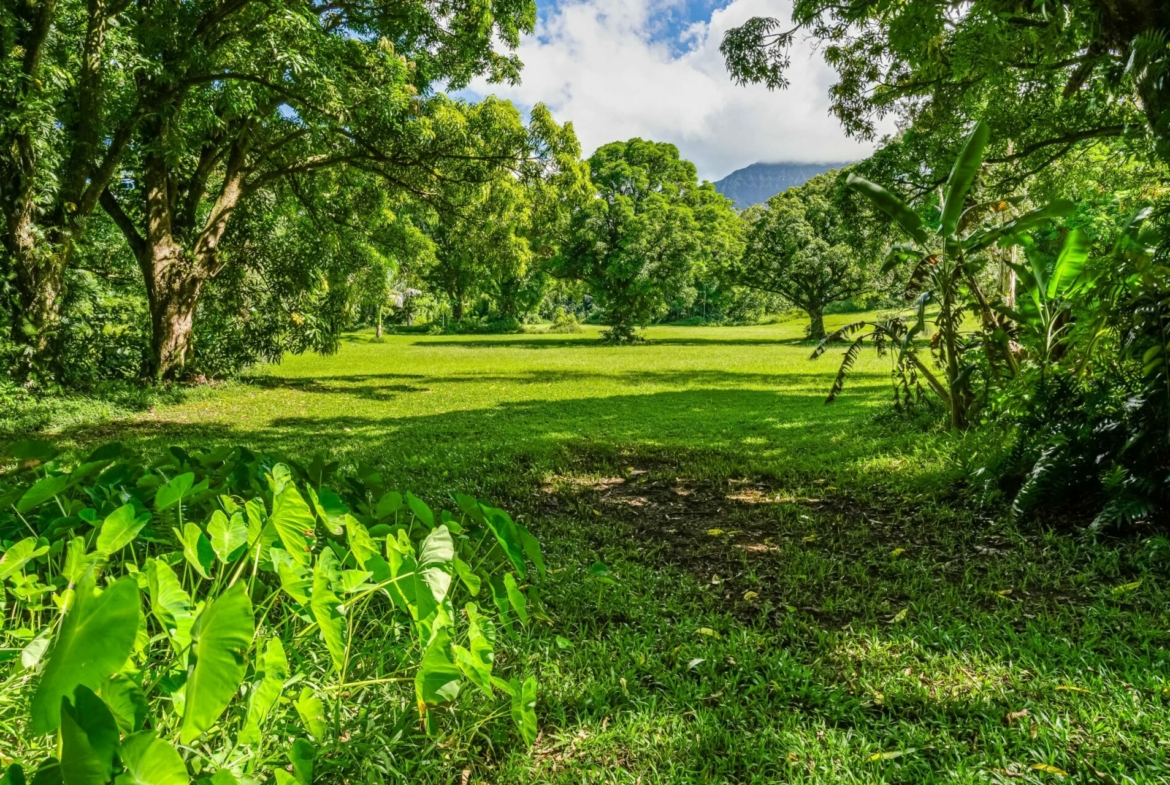 spectacular-hanalei-kauai-property