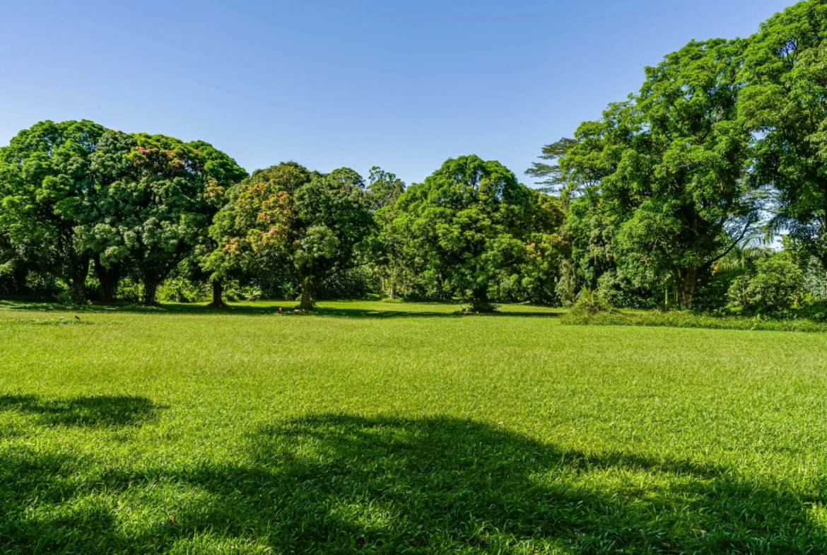 spectacular-hanalei-kauai-property