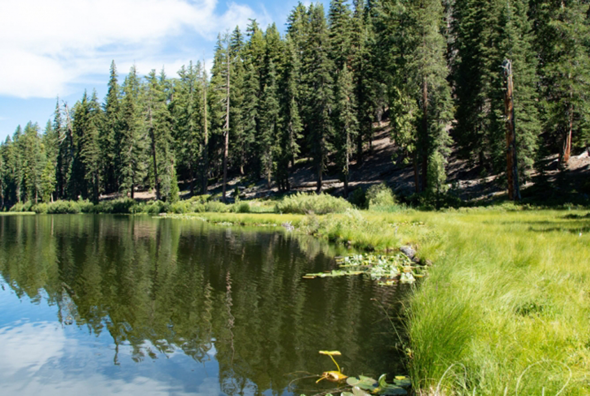 willow-lakes-surf-community-utah