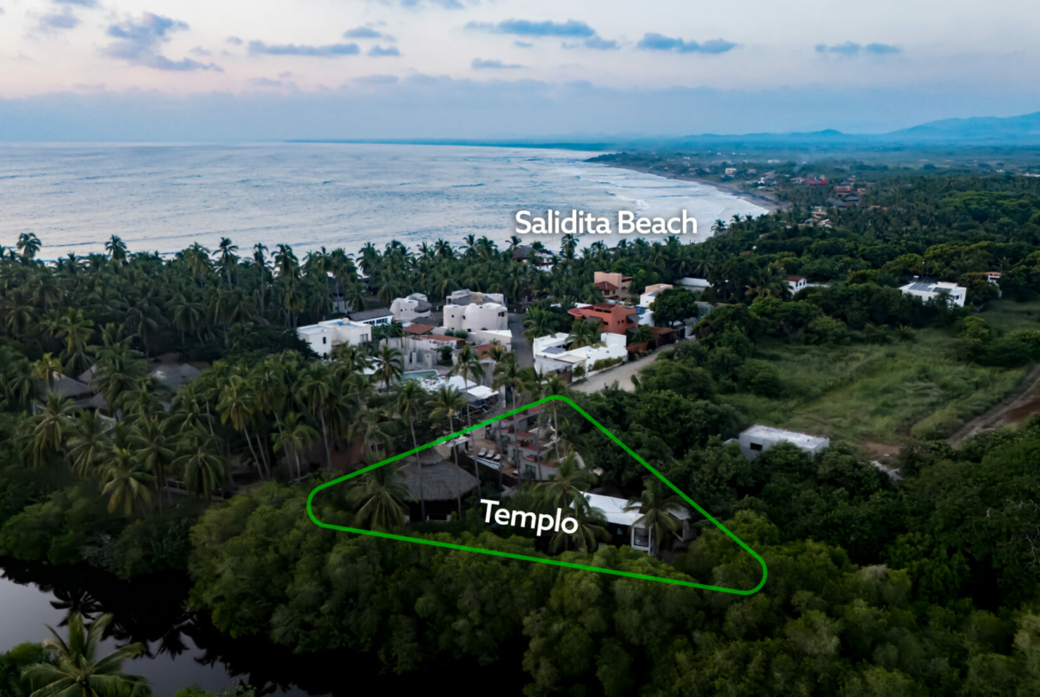 templo-transcendent-surf-wellness-oasis