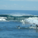 quiksilver-siargao-international-surf-properties